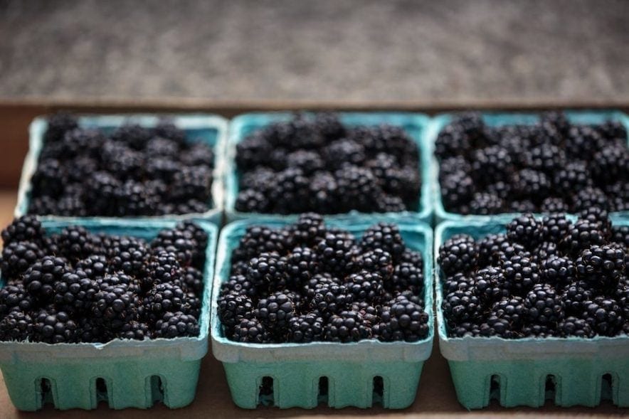 Extra Garlic Blackberry